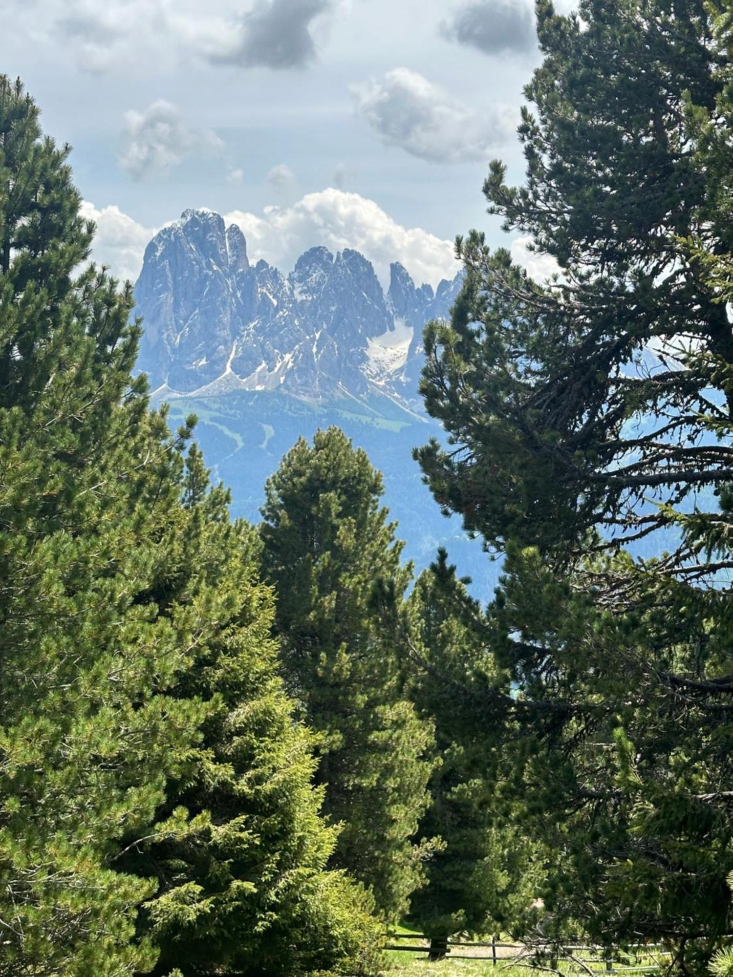 Chalet Da Mont Resciesa Ortisei Exteriér fotografie